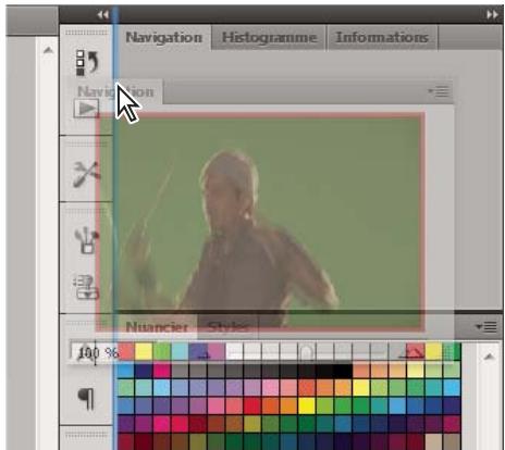 ADOBE CONTRIBUTE CS5 - Ancrage et annulation d'ancrage de panneaux - 1