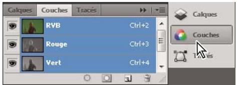 ADOBE CONTRIBUTE CS5 - Réduction et développement des icônes de panneaux - 2