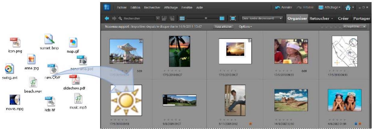 ADOBE ELEMENTS ORGANIZER 10 - A propos des catalogues - 1