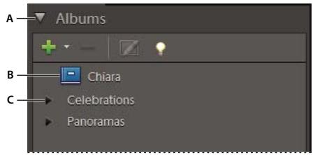 ADOBE ELEMENTS ORGANIZER 10 - A propos des albums dynamiques - 1