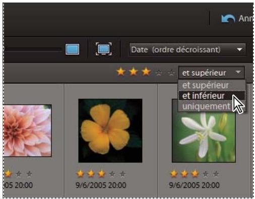 ADOBE ELEMENTS ORGANIZER 10 - Recherche des éléments associés à un nombre d'étoiles - 1