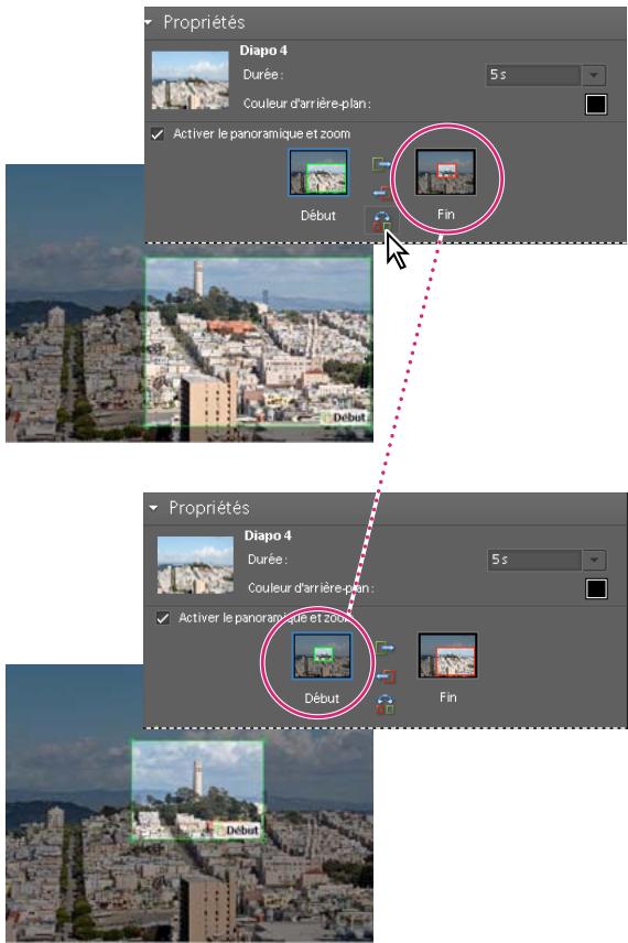 ADOBE ELEMENTS ORGANIZER 10 - Définition du panoramique et du zoom - 3