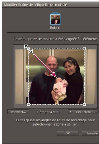 ADOBE ELEMENTS ORGANIZER 10 - Modification de l'icône d'une étiquette de mot-clé - 1