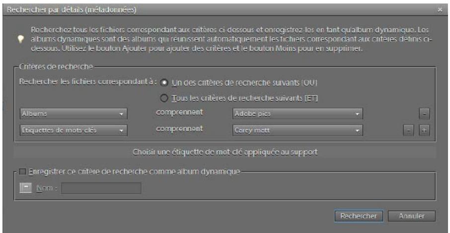 ADOBE ELEMENTS ORGANIZER 10 - Recherche de fichiers de support à l'aide des détails (métadonnées) - 1