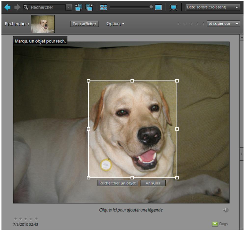 ADOBE ELEMENTS ORGANIZER 10 - Recherche d'objet - 1