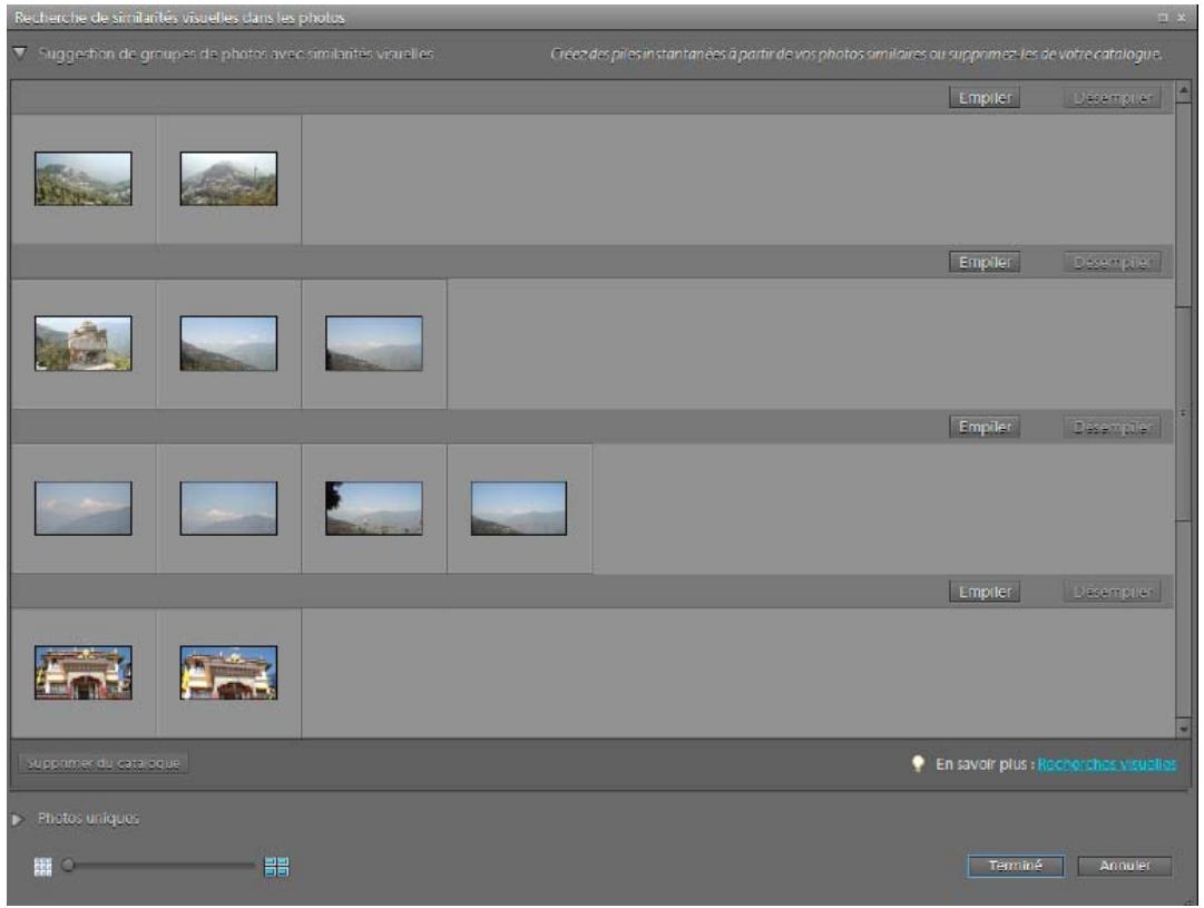 ADOBE ELEMENTS ORGANIZER 10 - Recherche de photos en double - 1