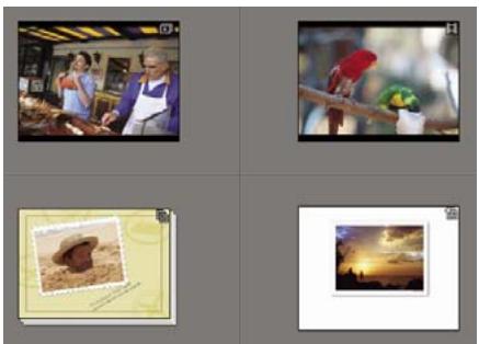 ADOBE ELEMENTS ORGANIZER 10 - Ouverture de projets enregistrés - 1