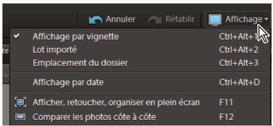 ADOBE ELEMENTS ORGANIZER 10 - Sélection d'un mode d'affichage du navigateur de supports - 1