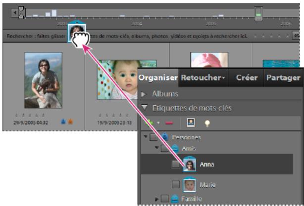 ADOBE ELEMENTS ORGANIZER 10 - Recherche depuis la barre de recherche - 1