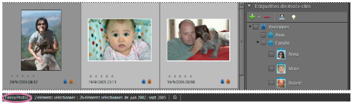 ADOBE ELEMENTS ORGANIZER 10 - A propos des catalogues - 2