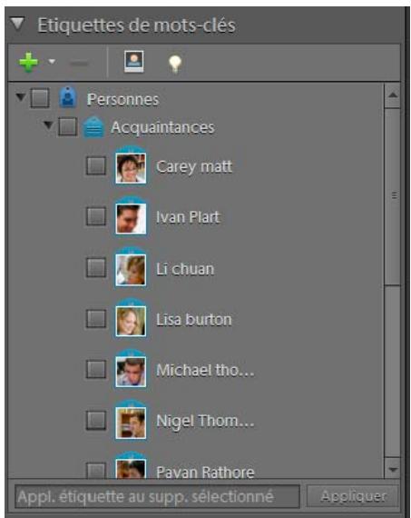 ADOBE ELEMENTS ORGANIZER 10 - Utilisation des panneaux de l'onglet Organiser - 1