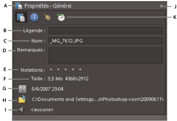 ADOBE ELEMENTS ORGANIZER 10 - Affichage ou modification des informations sur les fichiers dans Elements Organizer - 1