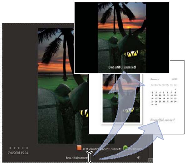 ADOBE ELEMENTS ORGANIZER 10 - Ajout de légendes aux fichiers - 1