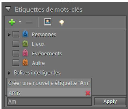 ADOBE ELEMENTS ORGANIZER 10 - Création, application et suppression rapides d'étiquettes - 1