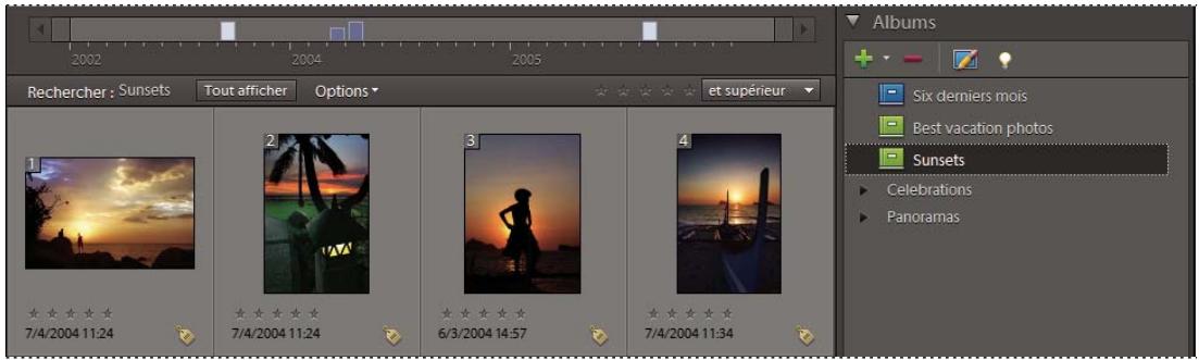 ADOBE ELEMENTS ORGANIZER 10 - Recherche de fichiers de support dans un album ou un album dynamique - 1