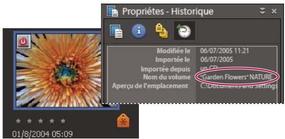 ADOBE ELEMENTS ORGANIZER 10 - Importation de photos à partir d'un CD ou d'un DVD - 1