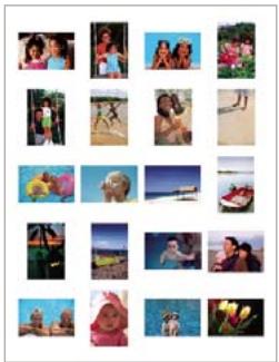 ADOBE ELEMENTS ORGANIZER 10 - Impression d'une planche contact - 1