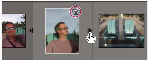 ADOBE ELEMENTS ORGANIZER 10 - Affichage de toutes les photos d'une pile - 1