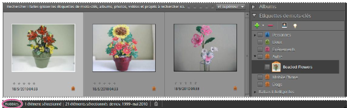 ADOBE ELEMENTS ORGANIZER 10 - A propos des catalogues - 3