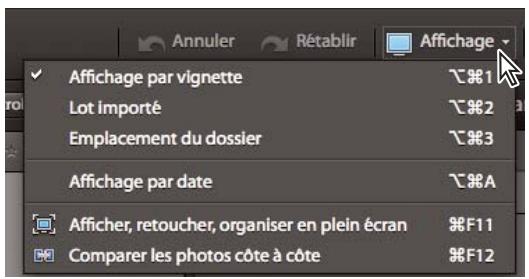 ADOBE ELEMENTS ORGANIZER 10 - Sélection d'un mode d'affichage du navigateur de supports - 2