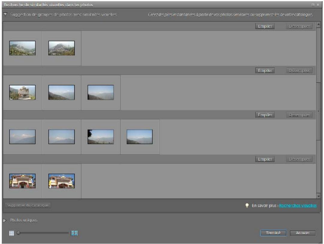 ADOBE ELEMENTS ORGANIZER 10 - Empilement automatique de photos comportant des similarités visuelles - 1