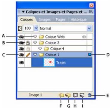 ADOBE FIREWORKS CS3 - Utilisation des calques - 3