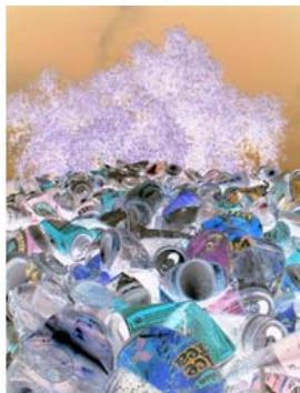 ADOBE FIREWORKS CS3 - Inversion des valeurs de couleur d'une image - 4