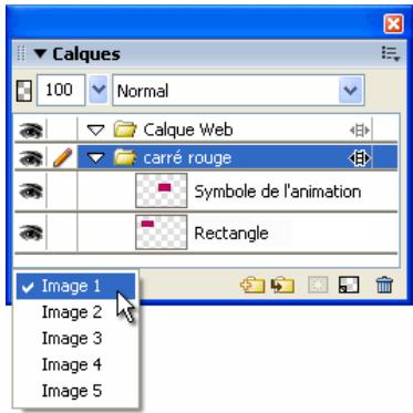 ADOBE FIREWORKS CS3 - Pour afficher des objets dans une image spécifique : - 1