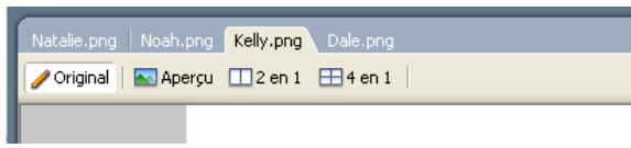 ADOBE FIREWORKS CS3 - Utilisation des onglets Document (Windows) - 1