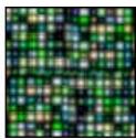 ADOBE FIREWORKS CS3 - Application d'un replissage à motifs - 4