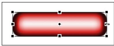 ADOBE FIREWORKS CS3 - Pourmettre à l'échelle un symbole à l'aide de la mise à l'échelle à 9 découpes : - 2