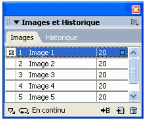 ADOBE FIREWORKS CS3 - Utilisation d/images - 1