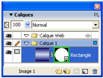 ADOBE FIREWORKS CS3 - Sélection de masques et d'objets masqués à l'aide de vignettes de masques - 1