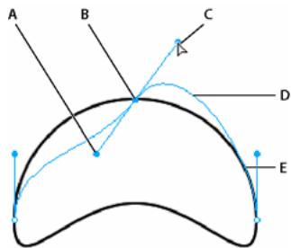 ADOBE FIREWORKS CS3 - Pour modifier la courbe de Bézier d'un segment de trajet : - 2