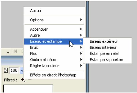 ADOBE FIREWORKS CS3 - Application de filters en direct - 1