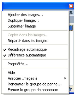 ADOBE FIREWORKS CS3 - Utilisation du menu Option des groupes de panneaux ou des panneaux - 1