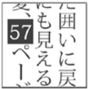 ADOBE FLASH CS5.5 - Création de texte asiatique - 2