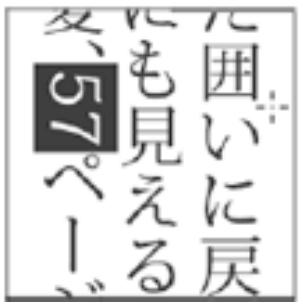 ADOBE FLASH CS5.5 - Création de texte asiatique - 1