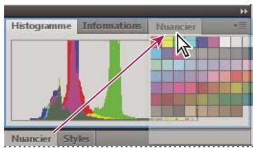 ADOBE FLASH CS5.5 - Manipulation de groupes de panneaux - 1