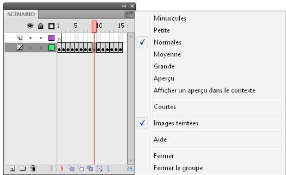 ADOBE FLASH CS5.5 - Changement de l'affichage des images dans le scenario - 1