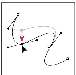 ADOBE ILLUSTRATOR CS3 - Réglage de la position ou de la forme des segments courbes - 2
