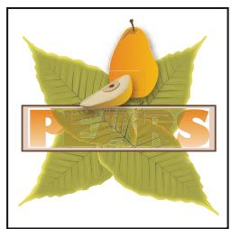 ADOBE ILLUSTRATOR CS3 - Utilisation de la transparence pour conférer une forme au perçage - 2