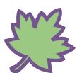 ADOBE ILLUSTRATOR CS3 - A propos des fonds et des contours - 2