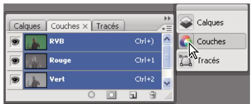 ADOBE ILLUSTRATOR CS3 - Pour manipuler des panneaux réduits à la taille d'icônes - 2
