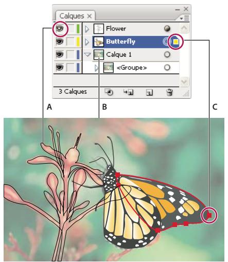 ADOBE ILLUSTRATOR CS3 - Présentation du panneau Calques - 2
