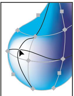 ADOBE ILLUSTRATOR CS3 - Déplacement d'un point de filet - 1