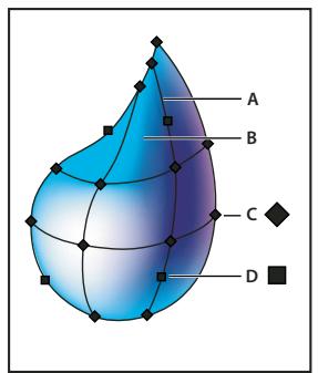 ADOBE ILLUSTRATOR CS3 - A propos des objets de filet - 1