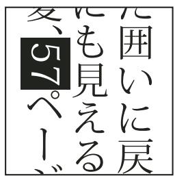 ADOBE ILLUSTRATOR CS3 - Utilisation de l'option Tate-chu-yoko - 1