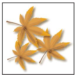 ADOBE ILLUSTRATOR CS3 - Attribution de couleurs à votre illustration - 1