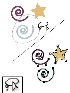 ADOBE ILLUSTRATOR CS3 - Collection d'outils de sélection - 5